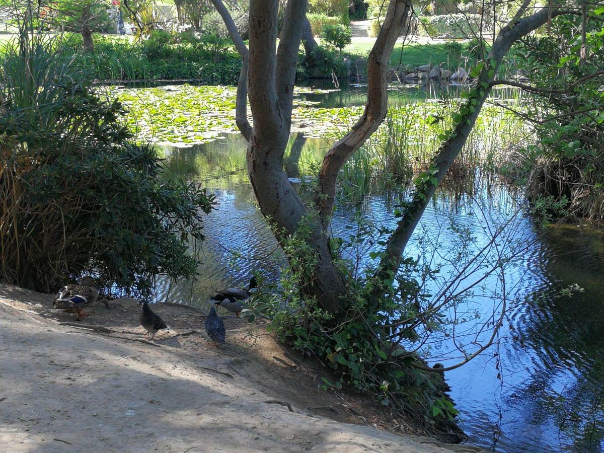 Domaine De La Coudouliere, T2 Climatise Terrasse Vue Mer Sans Vis A Vis Plage A 100M Six-Fours-les-Plages Dış mekan fotoğraf